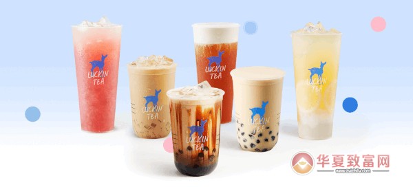 小鹿茶加盟